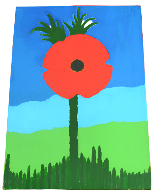 Poppy on A4 Canvas by Steve Johnson